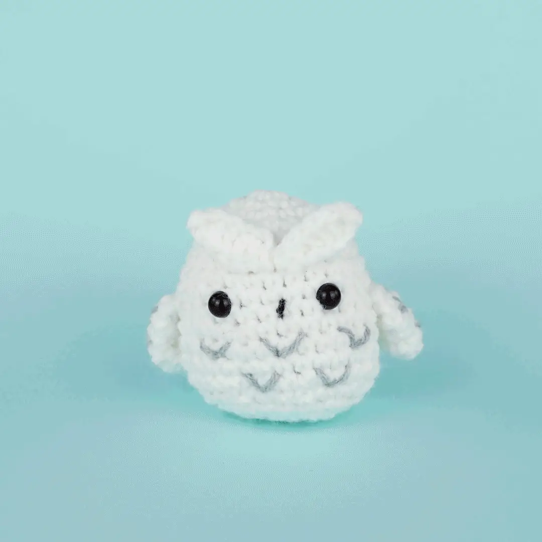 Andy the Owl Crochet Kit - Image 4